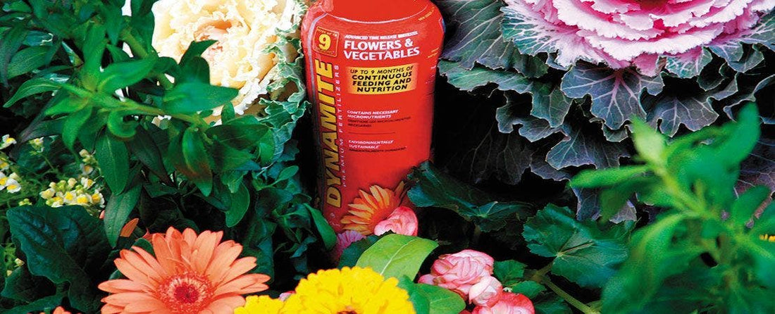 A Guide to Garden Fertilizer-1