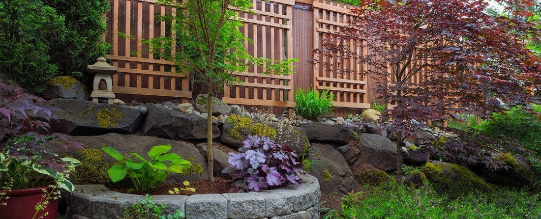 Tips for Planting Your Garden in the Ideal Location
