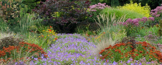 How Quickly Do Perennials Grow? Understanding the 3-Year Rule for Perennials