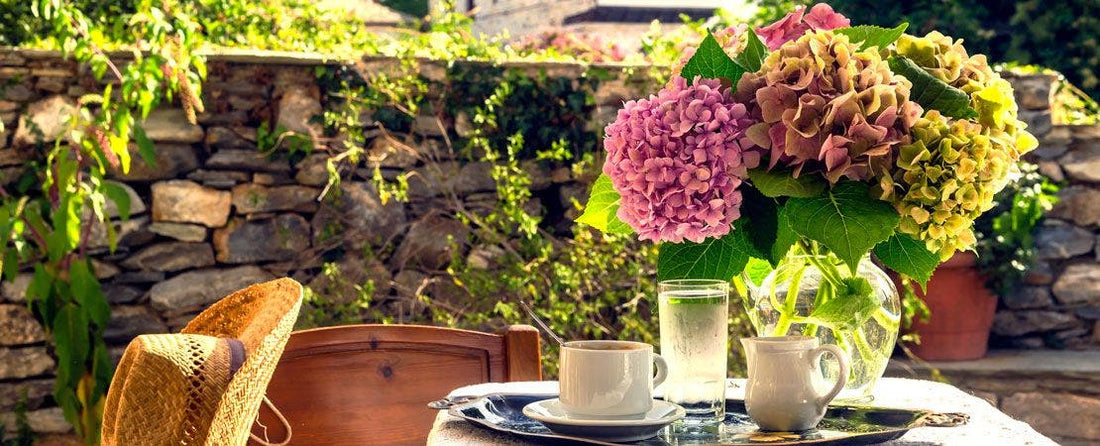 Tips for Fresh Hydrangea Bouquets and Dried Floral Arrangements