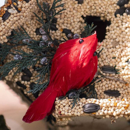 Wren Birdseed Casita + Cardinal