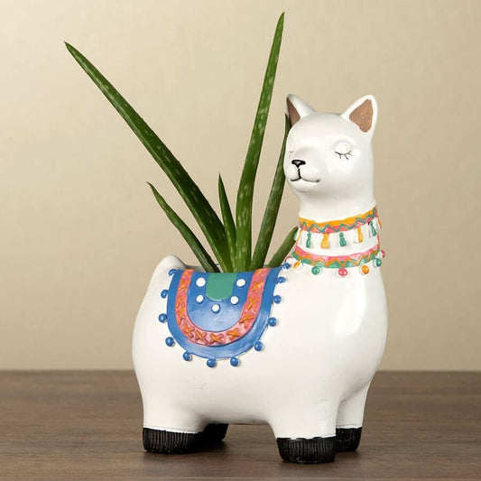 Aloe Vera in Llama Planter