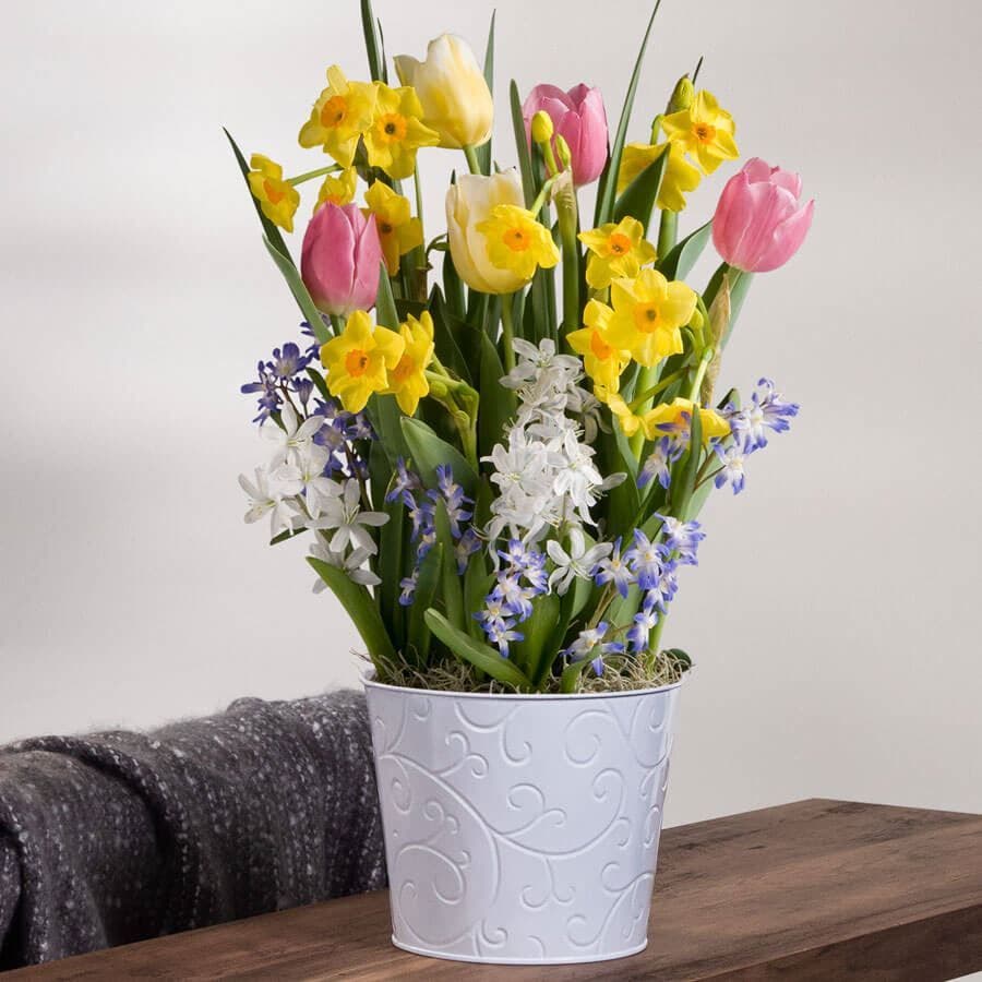 Spring Awakening Bulb Garden
