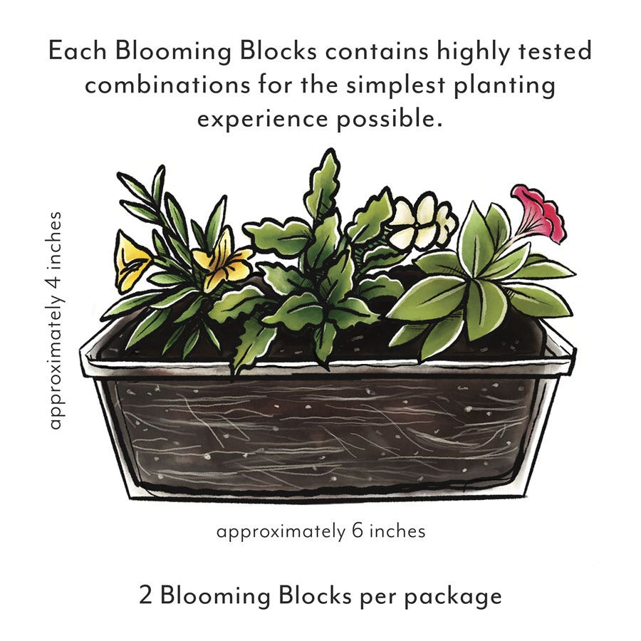 Blooming Block Kwik Kombos™ Beach Bum™ Standard Mix