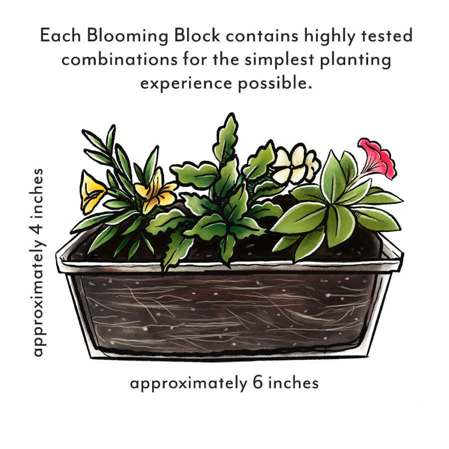 Blooming Block Kwik Kombos™ Chloe's™ Mix