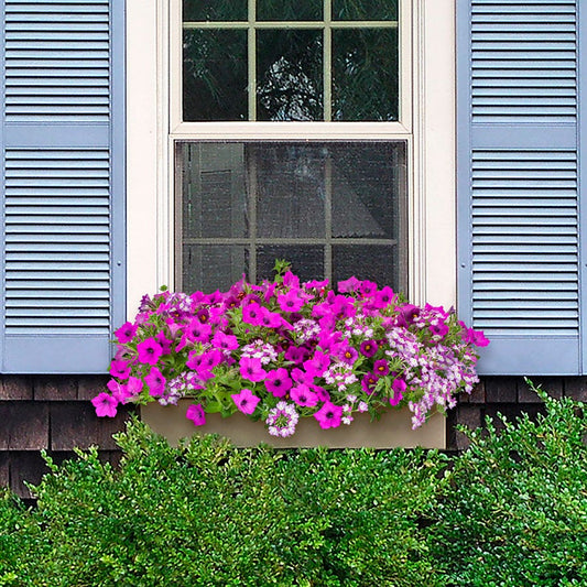 Blooming Block Kwik Kombos™ Wine Down™