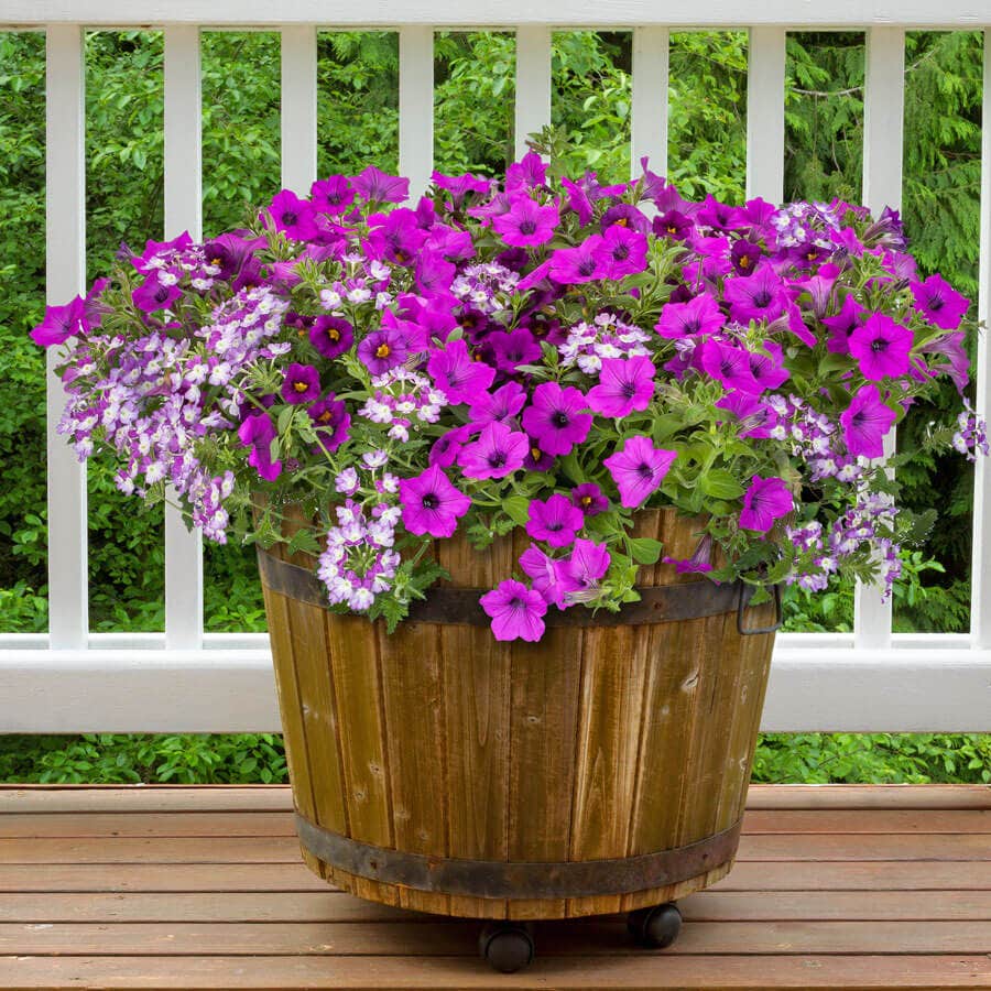 Blooming Block Kwik Kombos™ Wine Down™