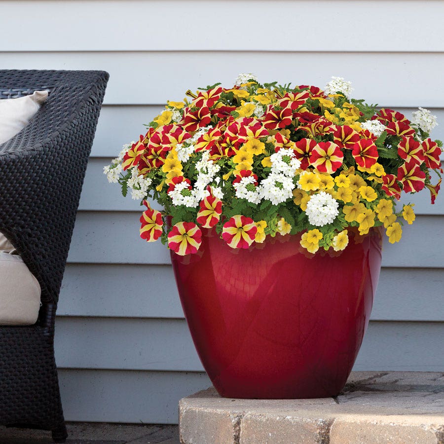 Blooming Block Durabella® The Queen Mix