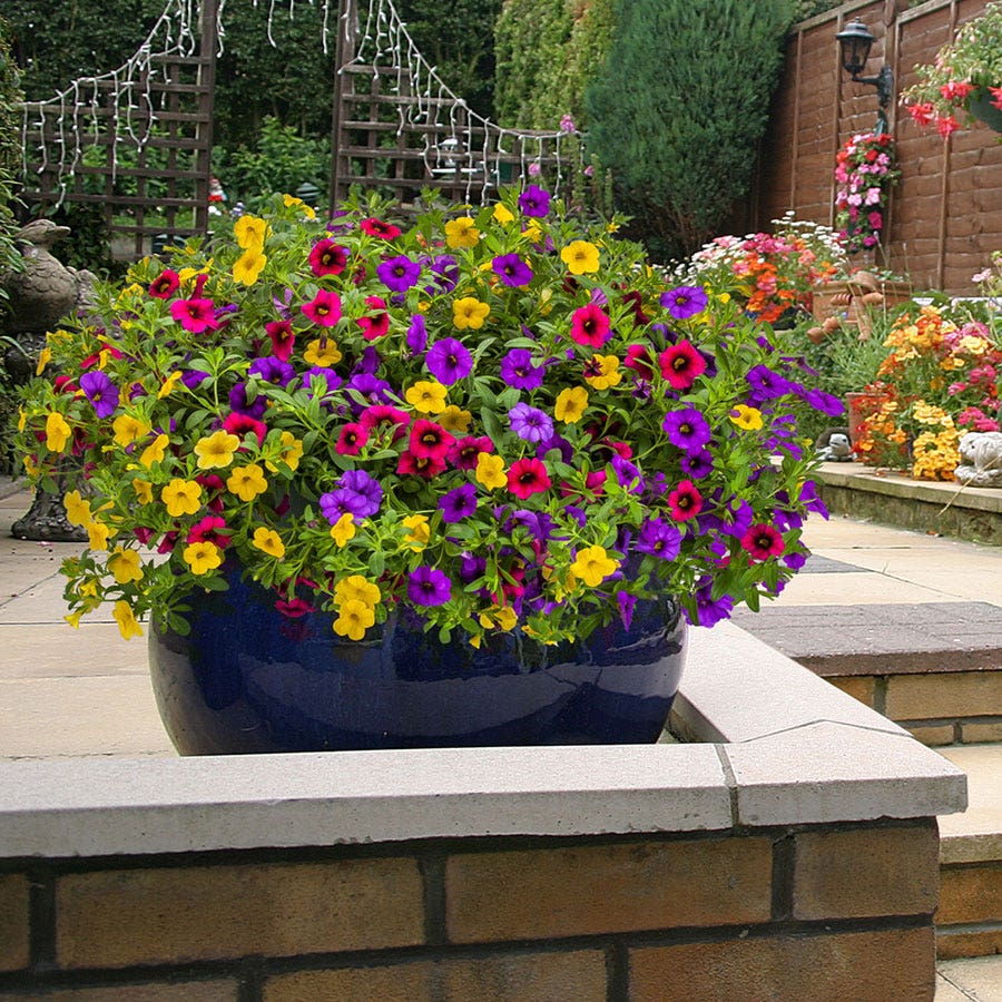 Blooming Block Kwik Kombos™ Cabrio™ Speed Limit™ Mix