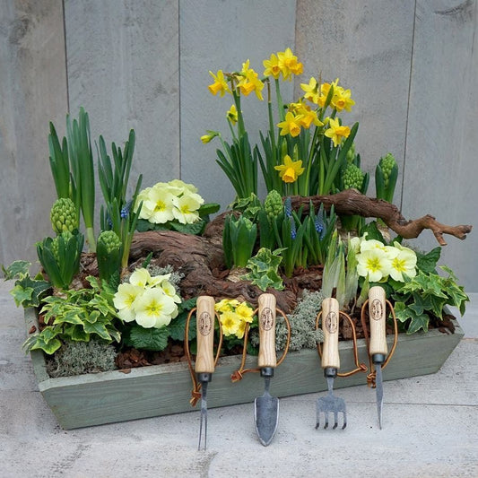 DeWit 4-Piece Bonsai Tool Set