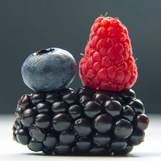 Rubus 'Columbia Giant' Blackberry