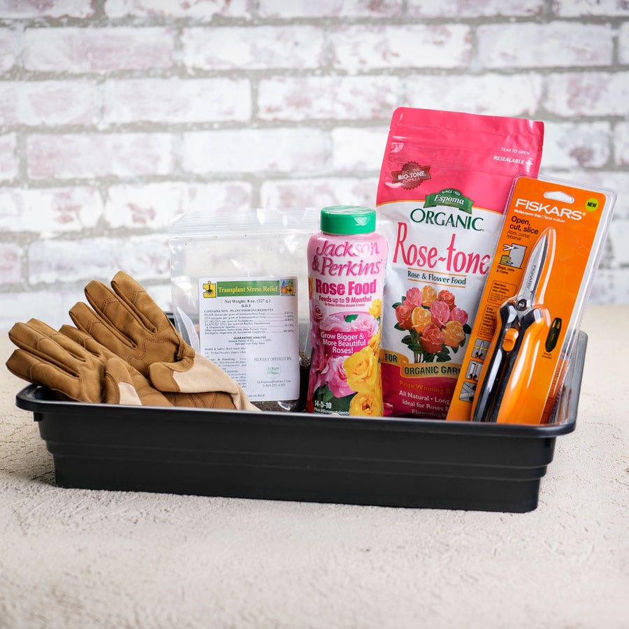 Multi-Purpose Storage Bin (3-Pack)