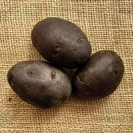Purple Majesty Potato - 2 Pound Bag