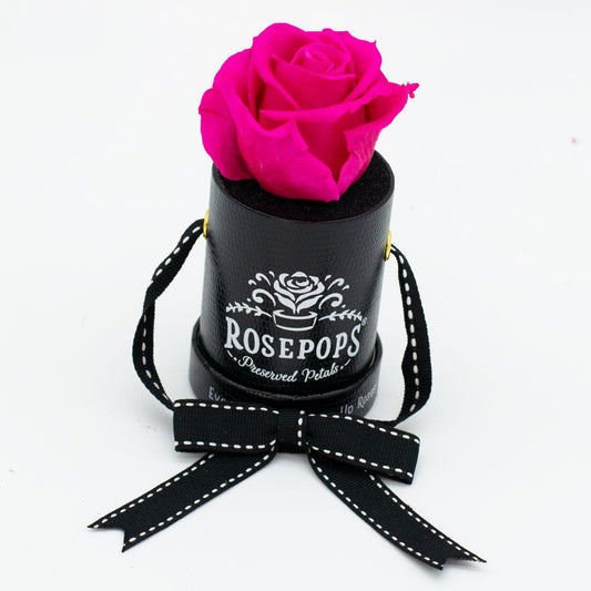 Rosepops™ One Up Raspberry Punch Preserved Rose