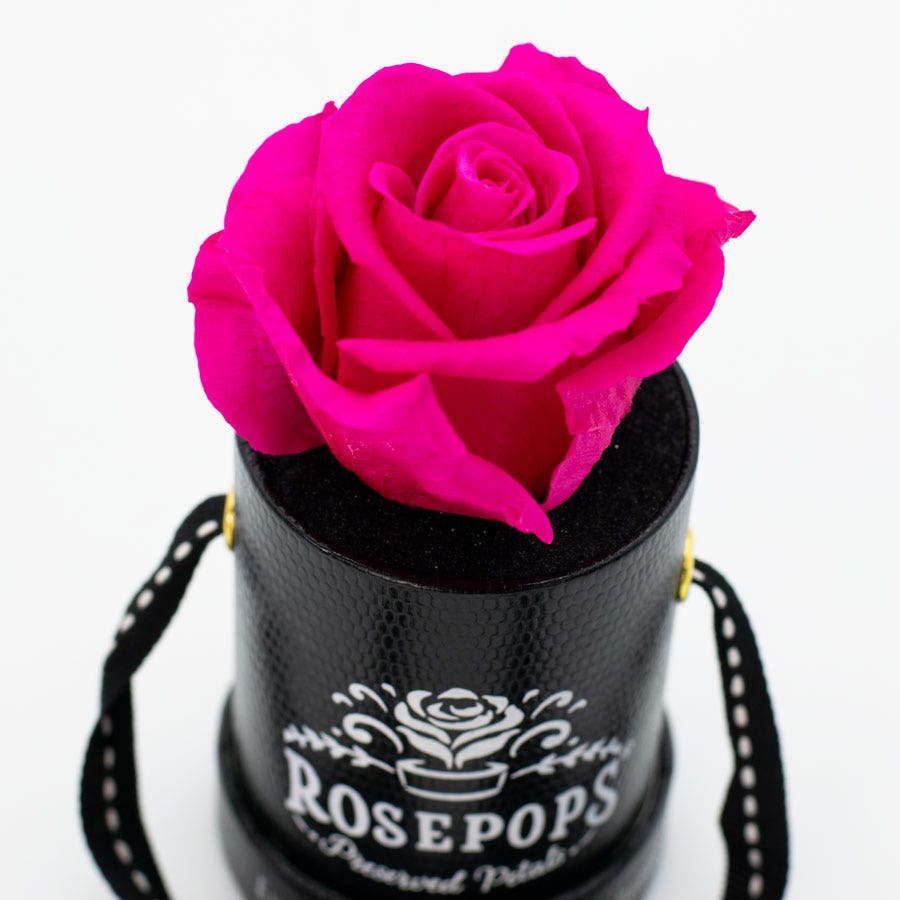 Rosepops™ One Up Raspberry Punch Preserved Rose