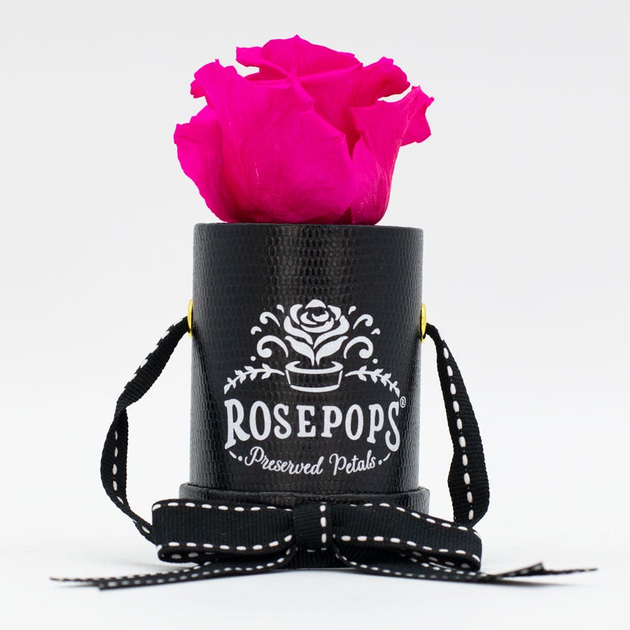 Rosepops™ One Up Raspberry Punch Preserved Rose