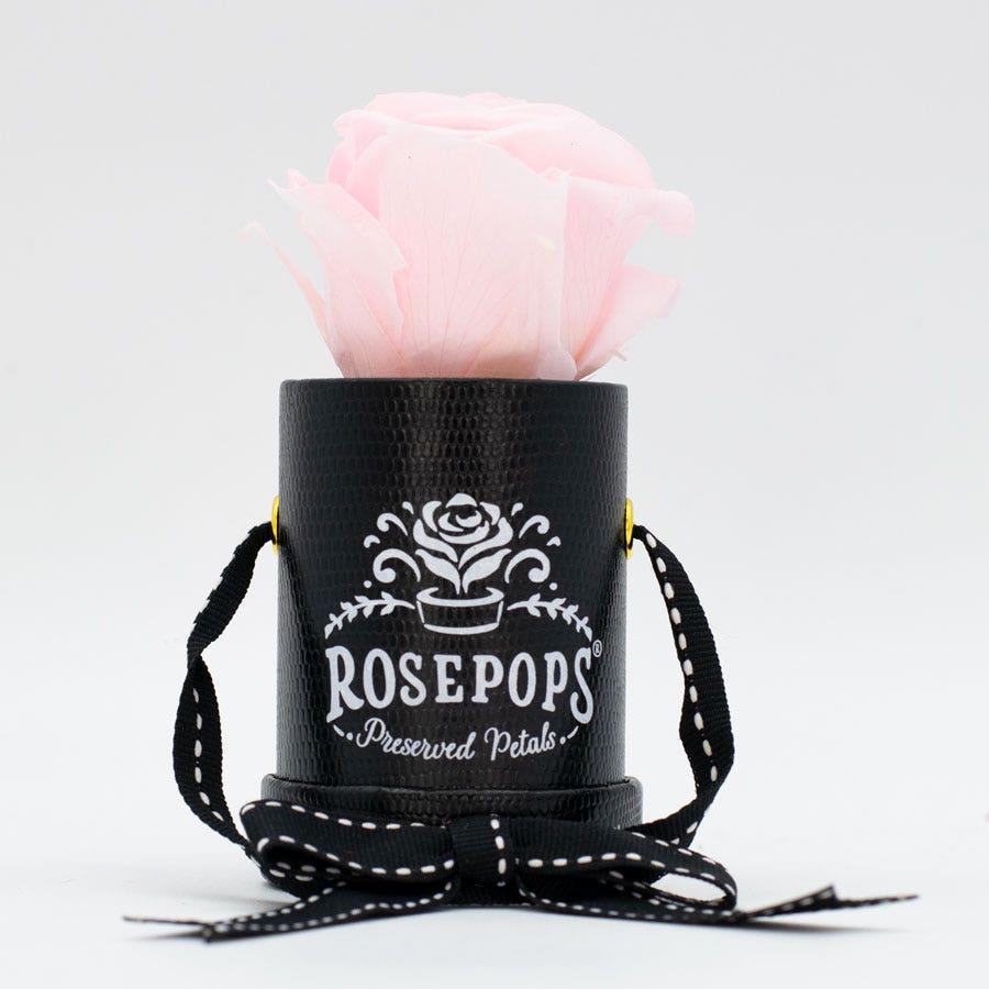 Rosepops™ One Up Cotton Candy Preserved Rose
