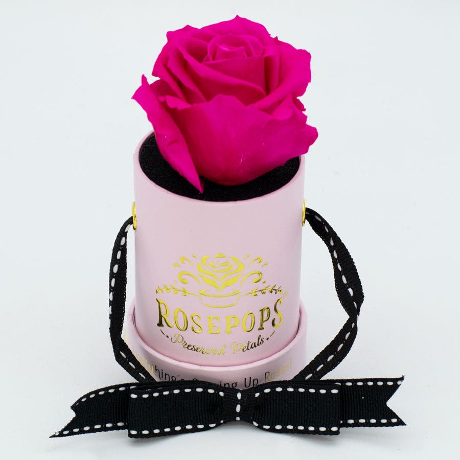 Rosepops™ One Up Raspberry Punch Preserved Rose