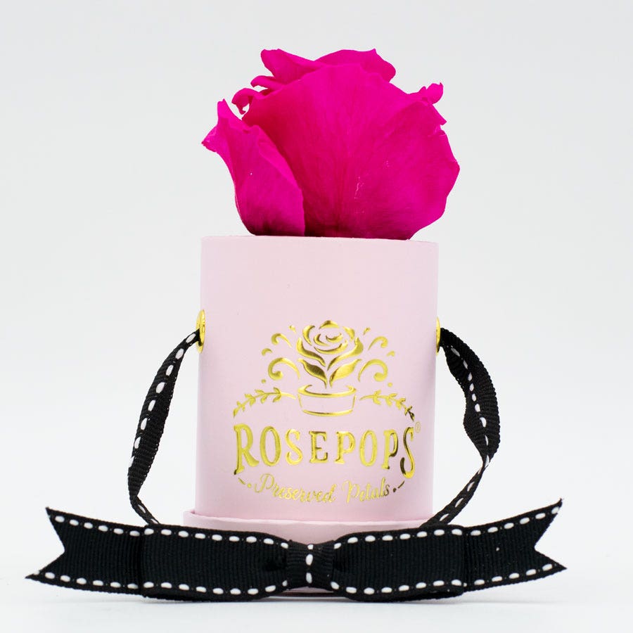 Rosepops™ One Up Raspberry Punch Preserved Rose