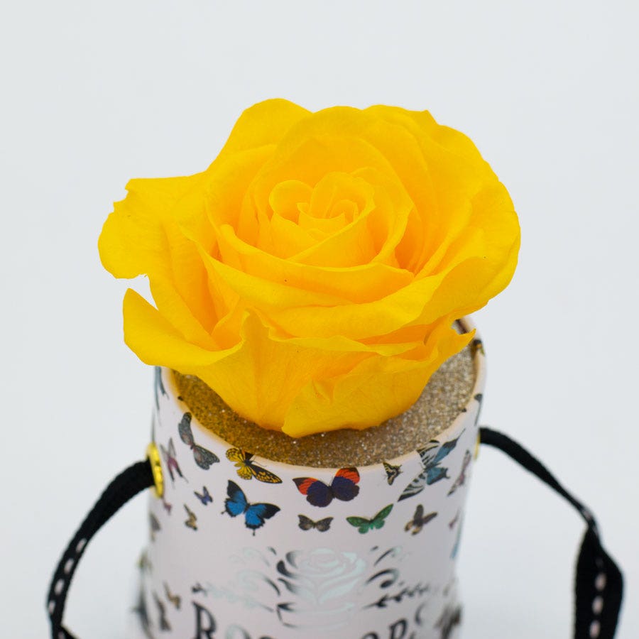 Rosepops™ Butterfly One Up Lemon Sorbet Preserved Rose