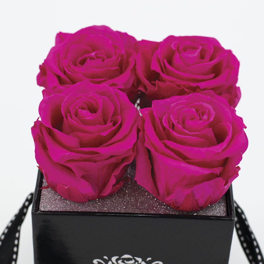 Rosepops™ Fourget Me Not Raspberry Punch Preserved Roses