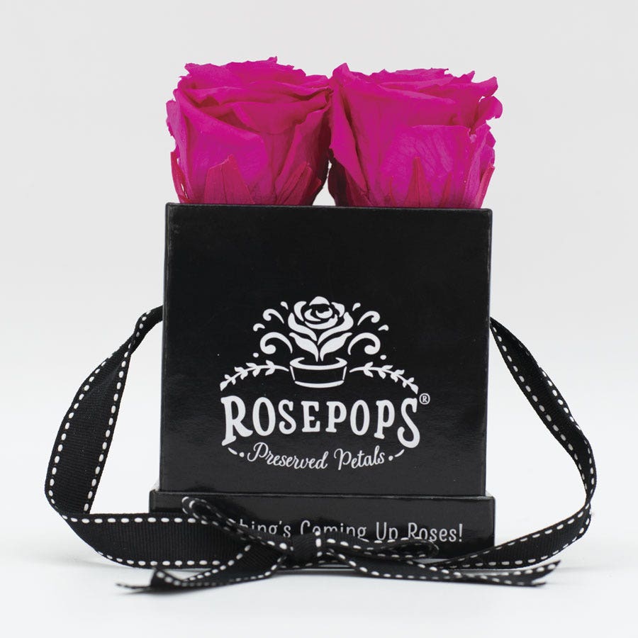 Rosepops™ Fourget Me Not Raspberry Punch Preserved Roses