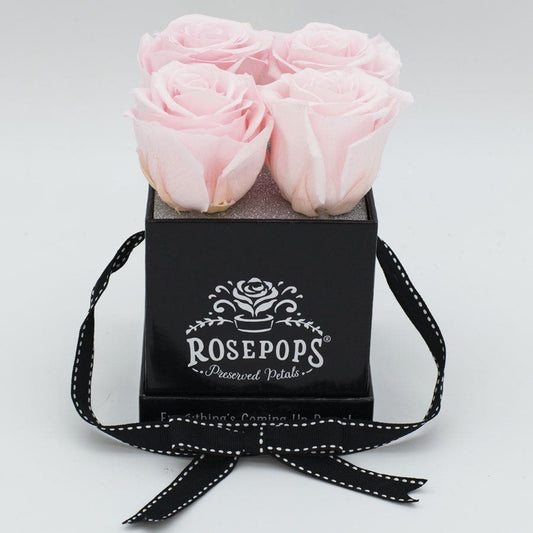 Rosepops™ Fourget Me Not Cotton Candy Preserved Roses