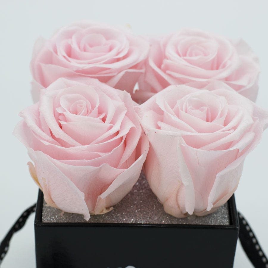 Rosepops™ Fourget Me Not Cotton Candy Preserved Roses