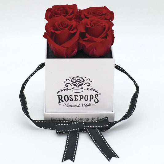Rosepops™ Fourget Me Not Cherry Crush Preserved Roses