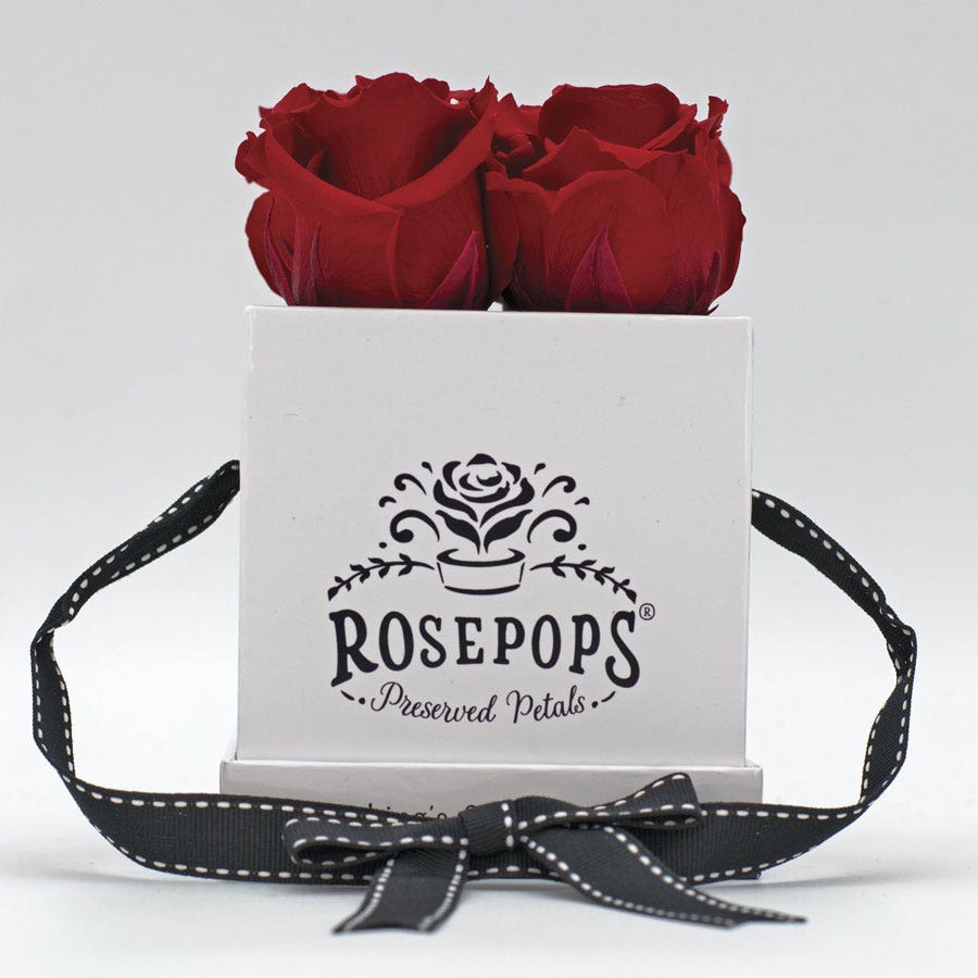 Rosepops™ Fourget Me Not Cherry Crush Preserved Roses