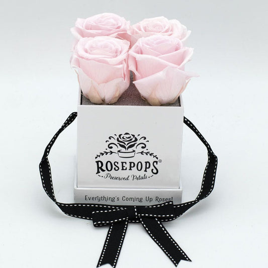 Rosepops™ Fourget Me Not Cotton Candy Preserved Roses