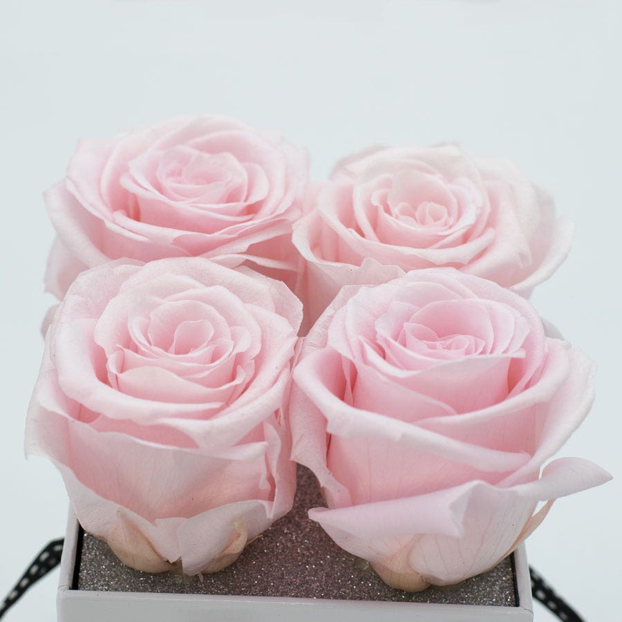 Rosepops™ Fourget Me Not Cotton Candy Preserved Roses