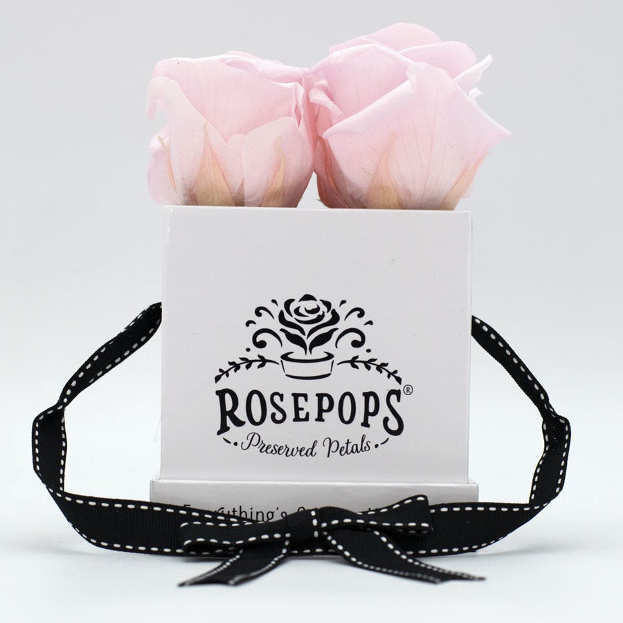 Rosepops™ Fourget Me Not Cotton Candy Preserved Roses