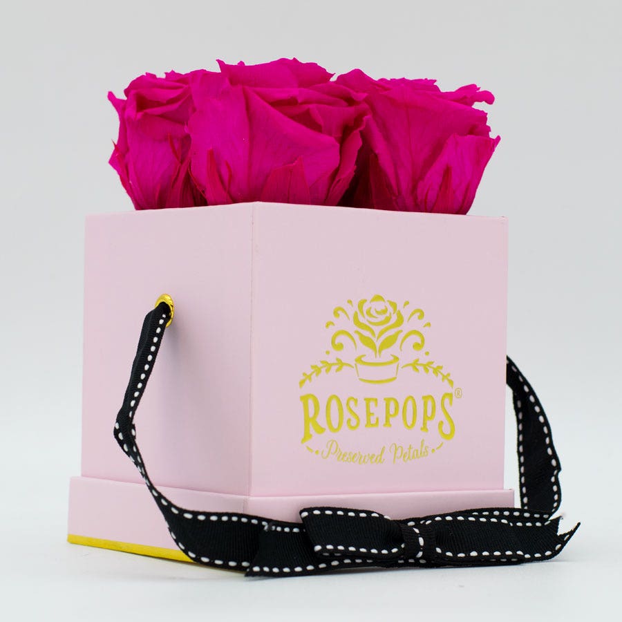 Rosepops™ Fourget Me Not Raspberry Punch Preserved Roses