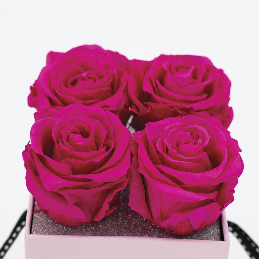 Rosepops™ Fourget Me Not Raspberry Punch Preserved Roses