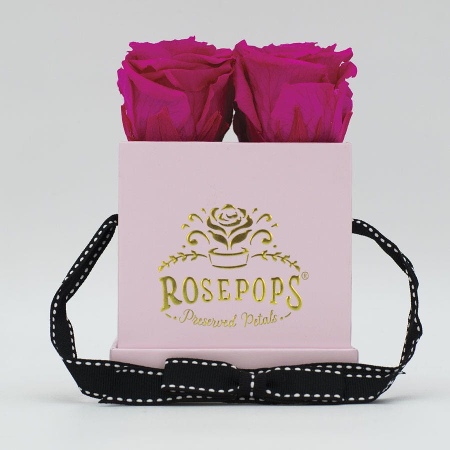 Rosepops™ Fourget Me Not Raspberry Punch Preserved Roses