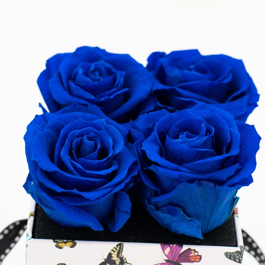 Rosepops™ Fourget Me Not Blue Sapphire Preserved Roses