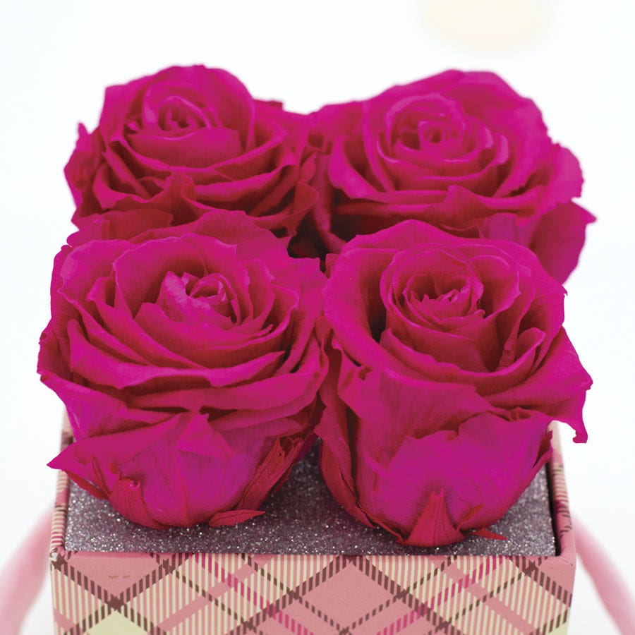 Rosepops™ Fourget Me Not Raspberry Punch Preserved Roses