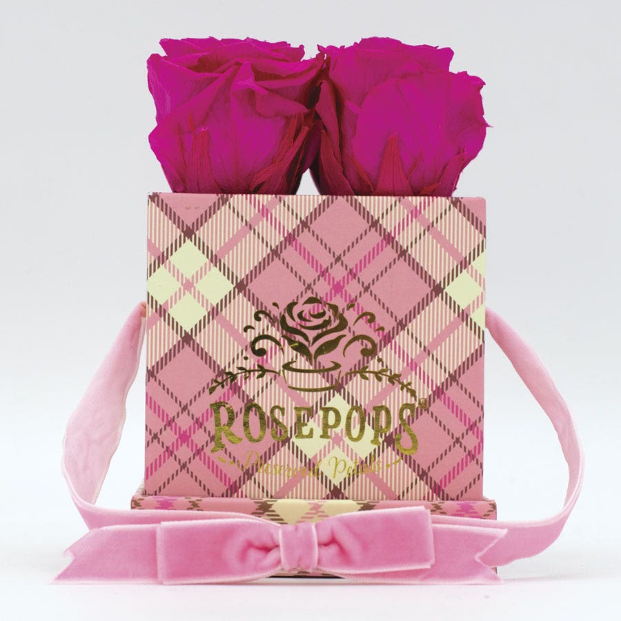Rosepops™ Fourget Me Not Raspberry Punch Preserved Roses