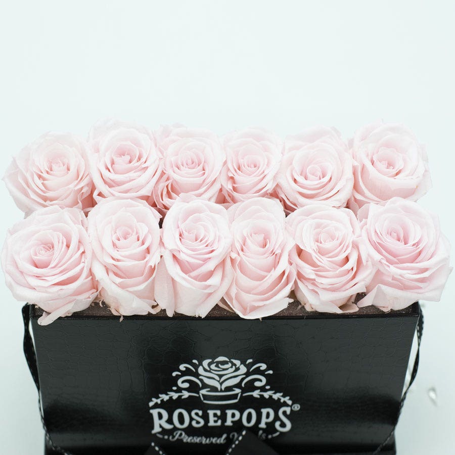 Rosepops™ Keeper by the Dozen Cotton Candy Preserved Roses