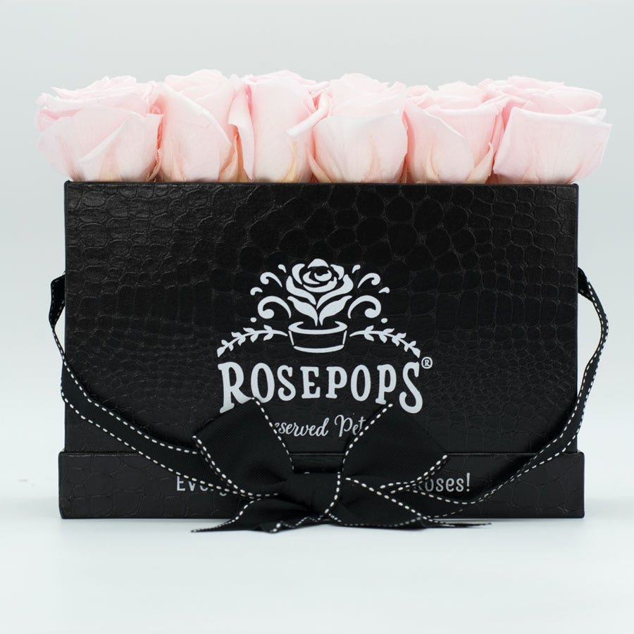 Rosepops™ Keeper by the Dozen Cotton Candy Preserved Roses