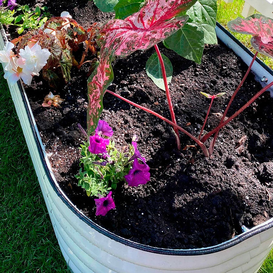 Vego Garden® 17-Inch 6 In 1 Modular Metal Raised Bed (White)