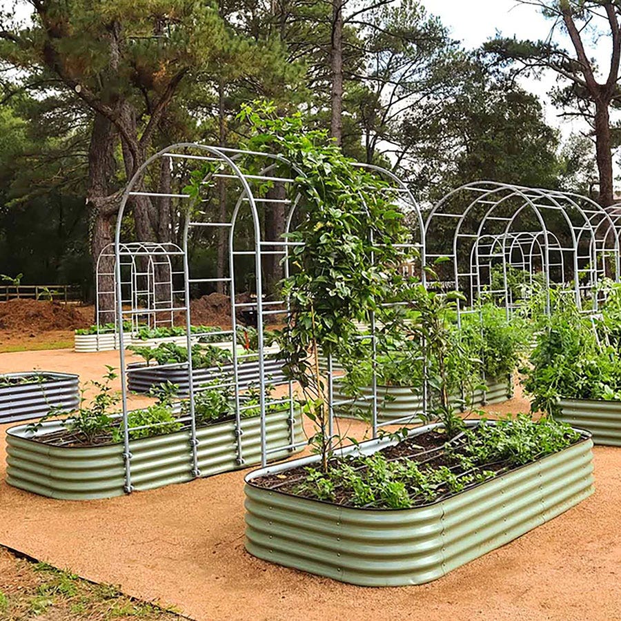 zone 6 trellis plants Vego Garden Modular Arched Single Section 1.5 Foot Trellis System
