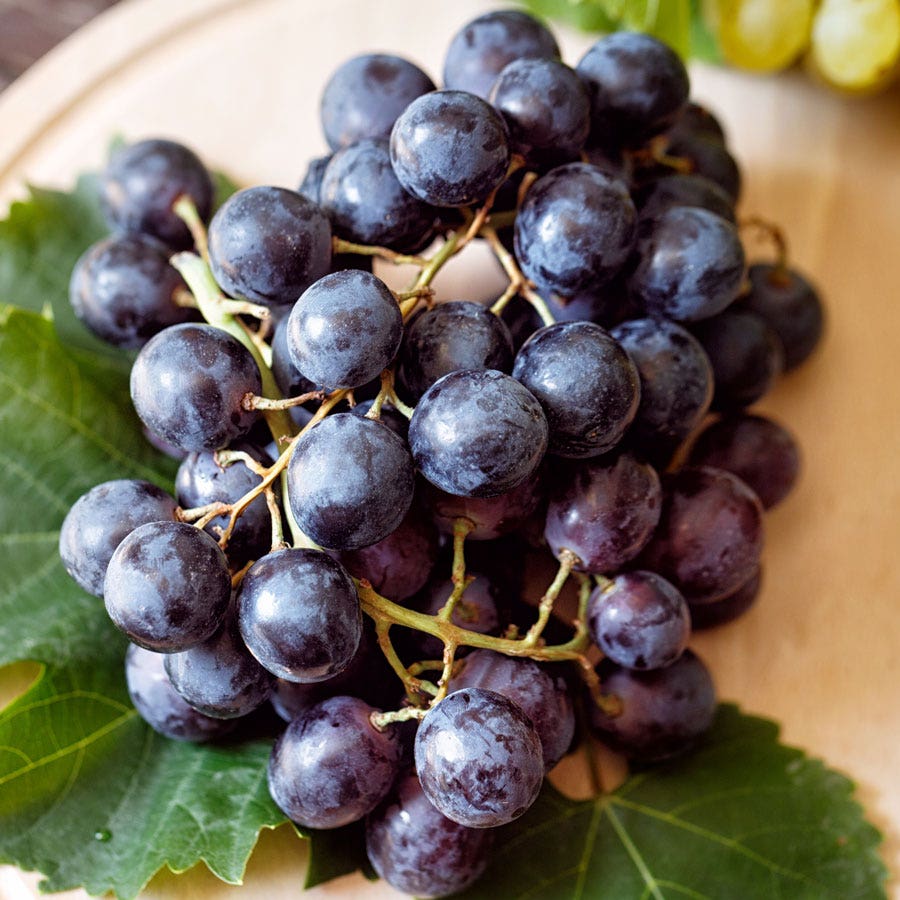 Vitis St Croix Red Grape