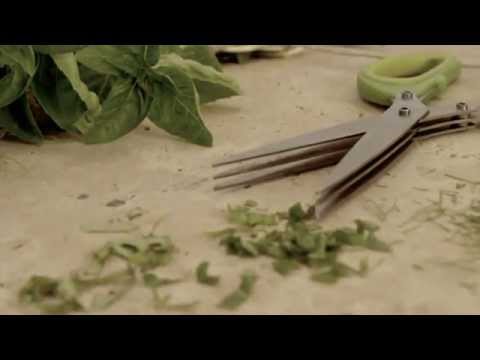 Herb Scissors