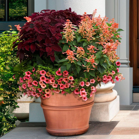 Blooming Block Premium Nouveau Rouge Quartet