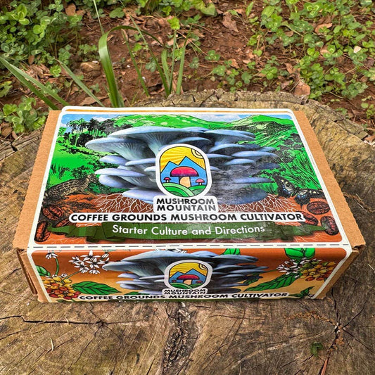 Cardboard and Coffee Bulk Starter