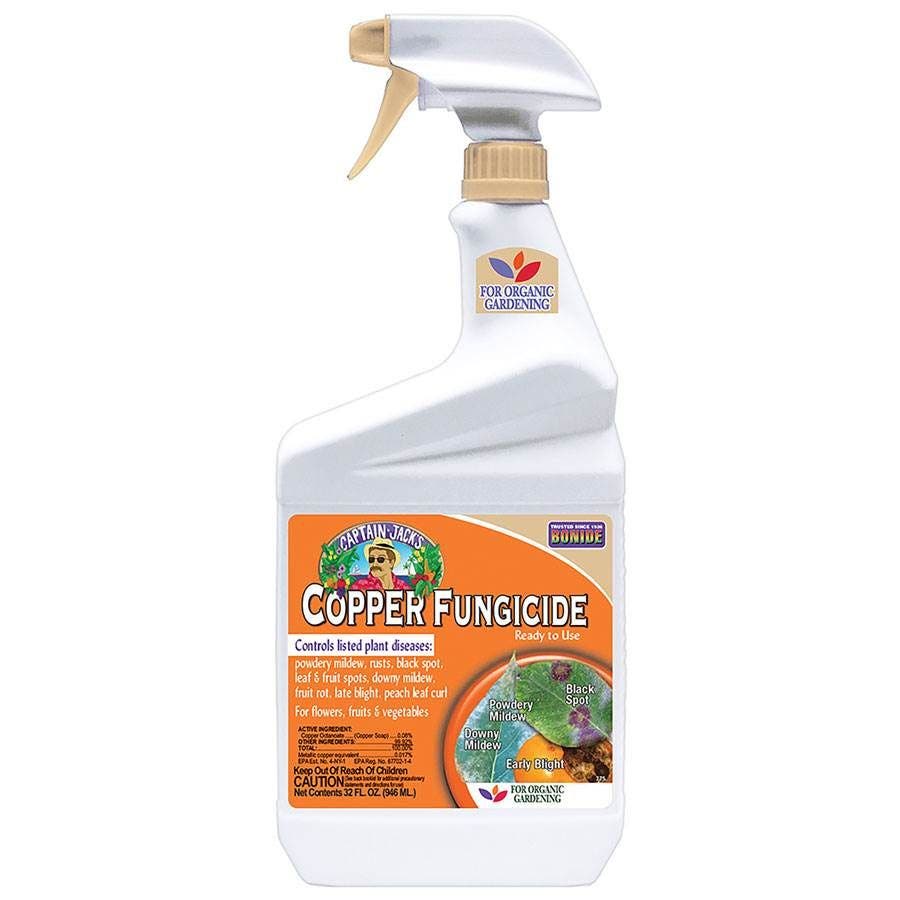 copper fungicide succulents Bonide Captain Jack's Copper Fungicide 32 oz