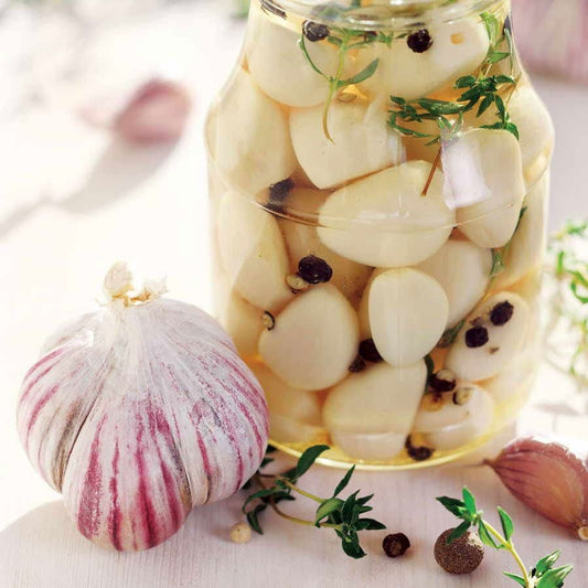 Garlic Chesnok Red Bulbs