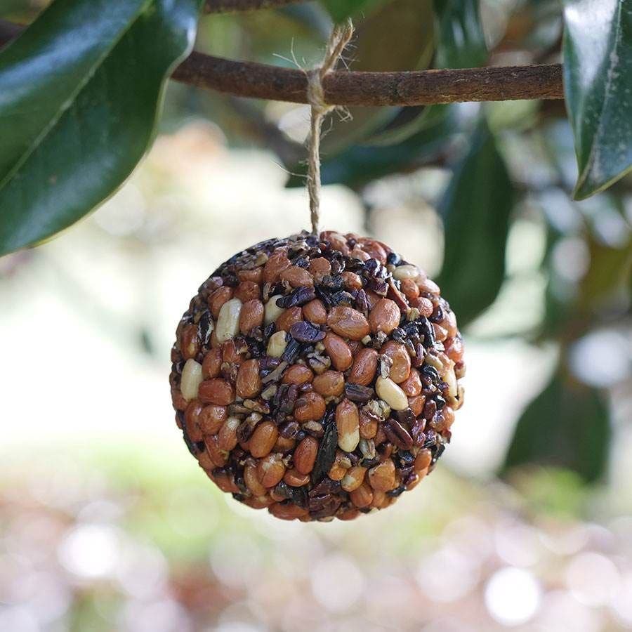 Seed & Nut Birdseed Ball